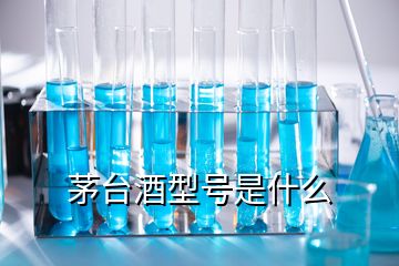 茅台酒型号是什么