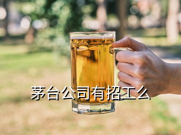 茅台公司有招工么