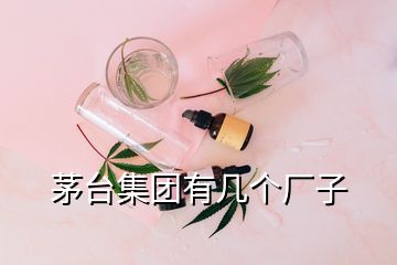 茅台集团有几个厂子