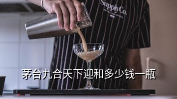 茅台九合天下迎和多少钱一瓶