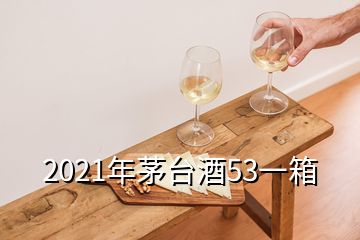 2021年茅台酒53一箱