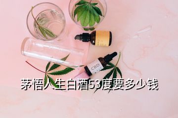 茅悟人生白酒53度要多少钱