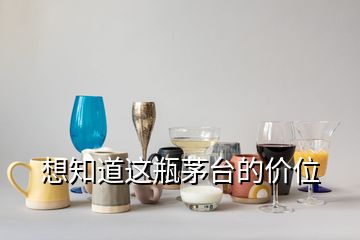 想知道这瓶茅台的价位