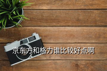 京东方和格力谁比较好点啊