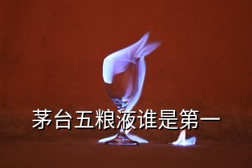 茅台五粮液谁是第一