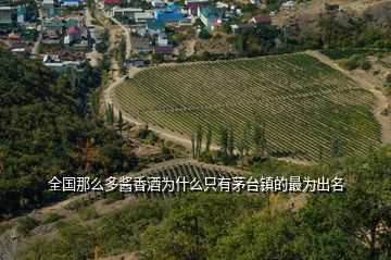 全国那么多酱香酒为什么只有茅台镇的最为出名