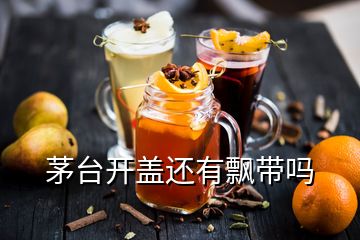 茅台开盖还有飘带吗