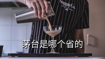 茅台是哪个省的