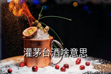 灌茅台酒啥意思