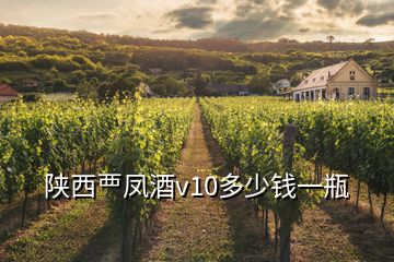 陕西覀凤酒v10多少钱一瓶