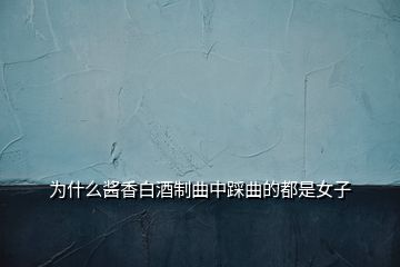 为什么酱香白酒制曲中踩曲的都是女子