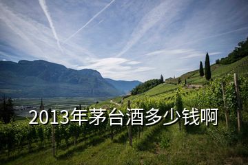 2013年茅台酒多少钱啊