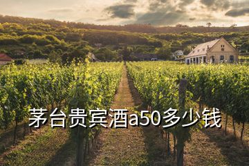 茅台贵宾酒a50多少钱