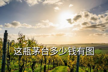 这瓶茅台多少钱有图