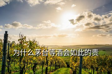 为什么茅台等酒会如此的贵