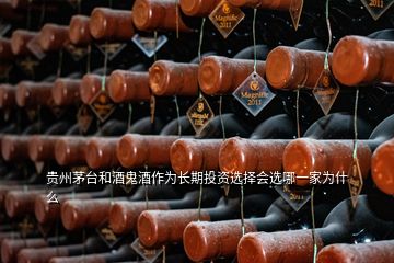 贵州茅台和酒鬼酒作为长期投资选择会选哪一家为什么
