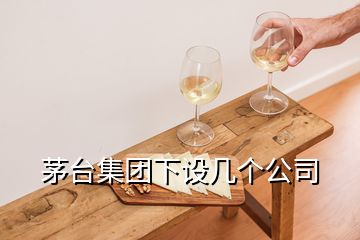 茅台集团下设几个公司