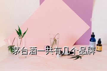 茅台酒一共有几个品牌