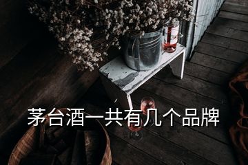 茅台酒一共有几个品牌