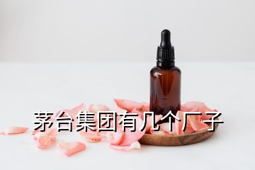 茅台集团有几个厂子