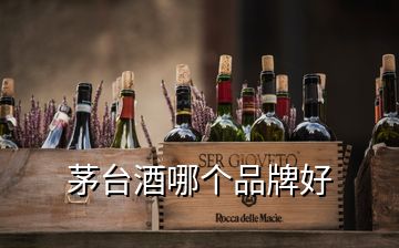 茅台酒哪个品牌好