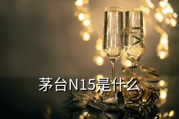 茅台N15是什么