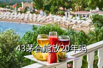 43茅台能放20年吗