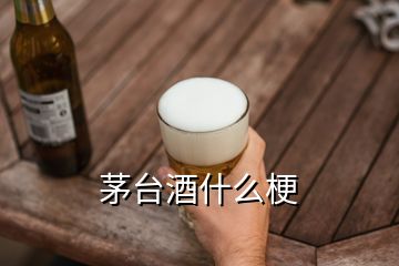 茅台酒什么梗