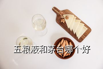 五粮液和茅台哪个好