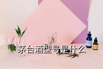 茅台酒型号是什么