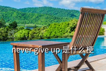 never give up 是什么梗