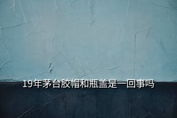 19年茅台胶帽和瓶盖是一回事吗