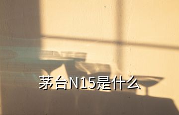 茅台N15是什么