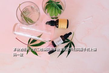 茅台酒纸壳上的二维编码用茅台鉴真软件扫码跟手机上编码一致