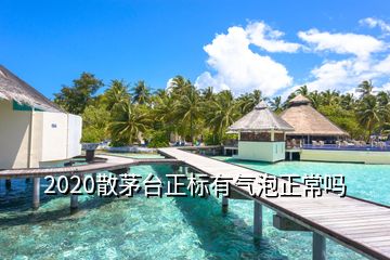 2020散茅台正标有气泡正常吗