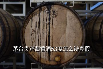 茅台贵宾酱香酒53度怎么辩真假