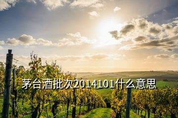 茅台酒批次2014101什么意思