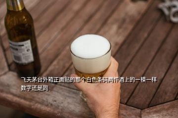 飞天茅台外箱正面贴的那个白色条码两件酒上的一模一样数字还是同