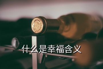 什么是幸福含义