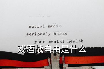 戏酒战自由是什么