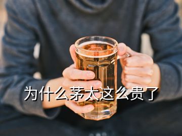 为什么茅太这么贵了