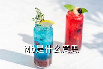 Mb是什么意思