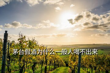 茅台假酒为什么一般人喝不出来