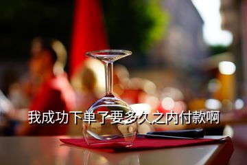 我成功下单了要多久之内付款啊