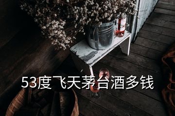 53度飞天茅台酒多钱