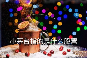 小茅台指的是什么股票