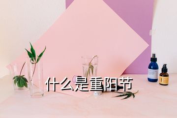 什么是重阳节