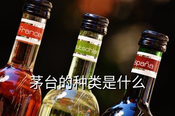 茅台的种类是什么