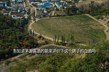 有知道茅源酱酒的能来评价下这个牌子的白酒吗