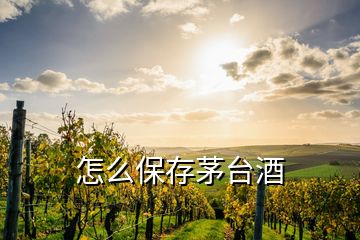 怎么保存茅台酒